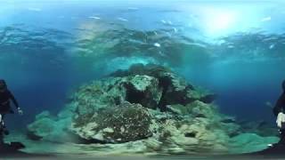 Garmin VIRB 360 5.7K  Underwater with MistikaVR