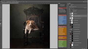 Fine art dog portrait studio edit in Photoshop using the Fur Babies actions