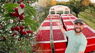 Harvest begins | Behind the scenes look at farm life!