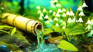 Natural Sound Of Water For Relaxation 🌿 Soft Healing Music, Spa Music