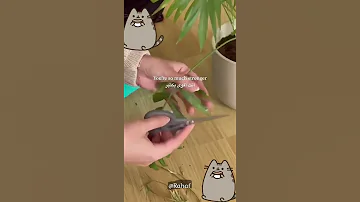 انا فخورة بك ي 