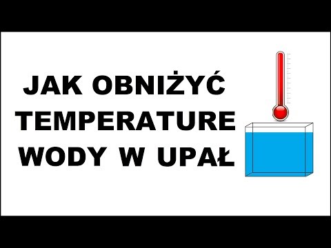 Wideo: Jak Obniżyć Temperaturę W Akwarium