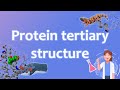 Tertiary Structure of Protein - Medicinal Chemistry 1.7