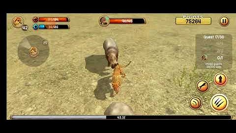 Wild Cheetah Sim Part 6