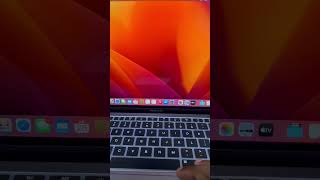 How to increase the size and color of your pointer on MacOS