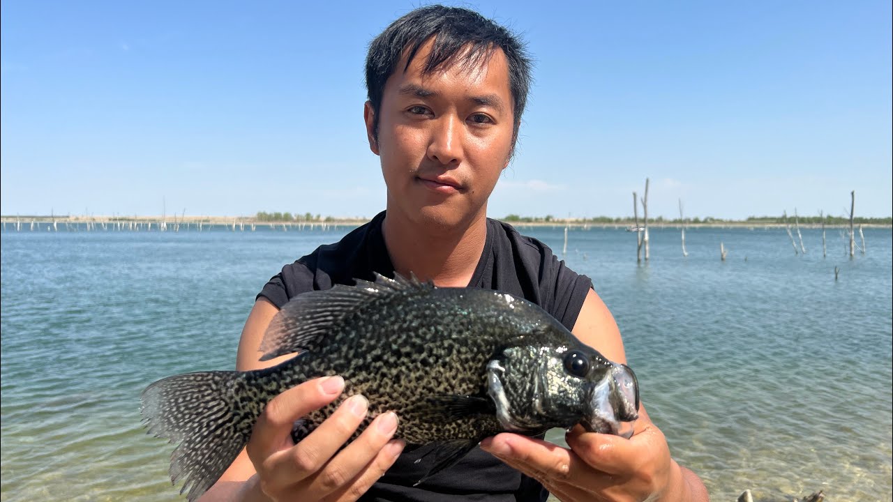SUPER DARK CRAPPIES, CRAPPIE FISHING KANSAS YouTube