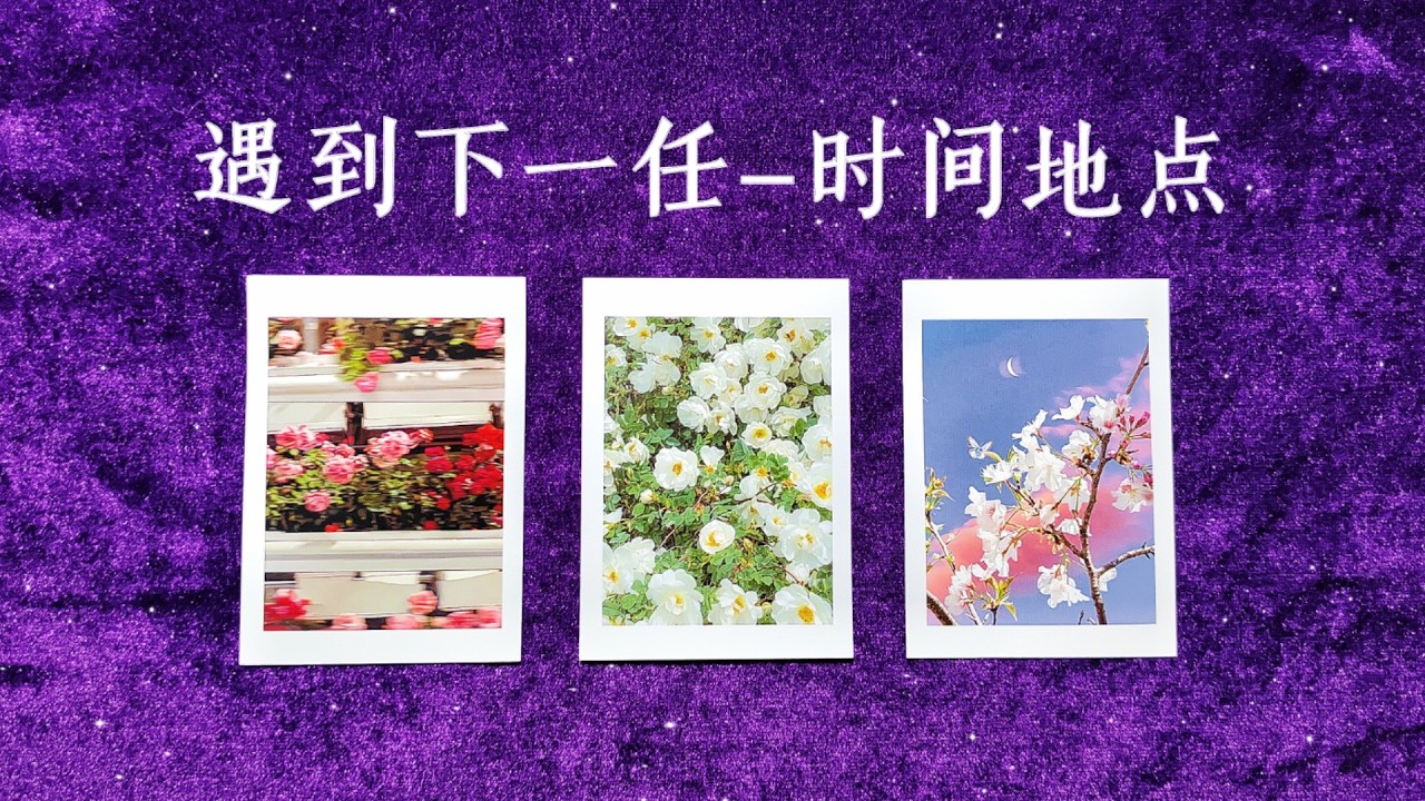 【徒步者塔罗】遇見下一任的時機與地點---資訊公開