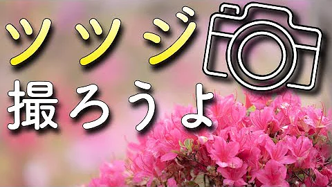 ホテル 旅館の写真撮影方法 Mp3 ホテル 旅館の写真撮影方法 Mp3