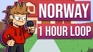 Friday Night Funkin' VS. Tord - Norway | BOTPLAY | 1 hour loop
