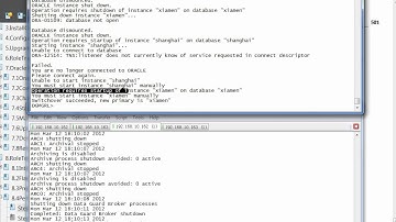 08.04 Oracle_10gR2_DataGuard_8.4 Perform a Switchover with shanghai and xiamen Using Broker.avi