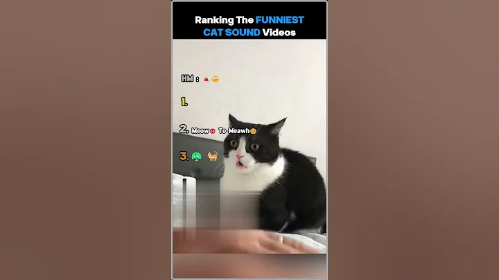 Watch the video about Ranking The Funniest Cat Sounds Videos 🐈 #shorts #funny #laugh