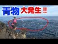 巨大なナブラの正体が大量の青物だった!