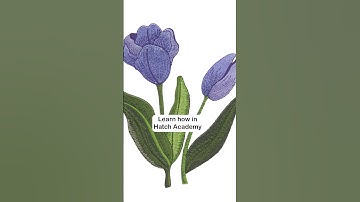 What does Hatch Embroidery software do?