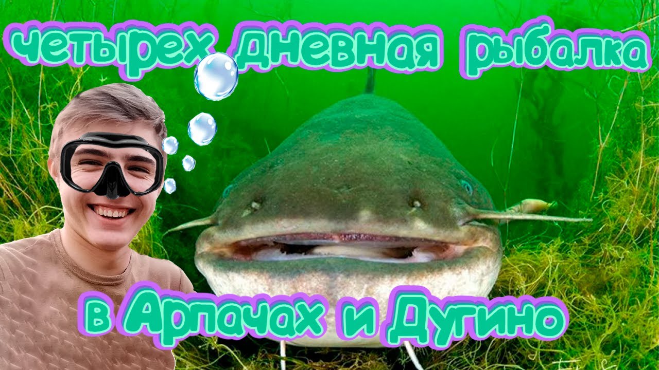 Рыбалка с ночевкой на Дону! ПОЙМАЛИ СОМА! Ловля селедки на резинку,и на ...