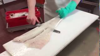 Prepping Cod Fillets