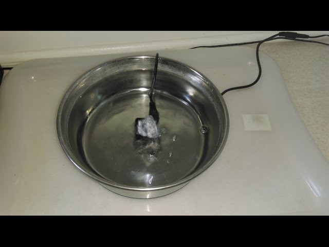 Make A Cheap Water Bowl Pet Fountain For Dog Cat Animal Easy To