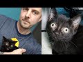 Lucky Black Kitten Crosses My Path! 🖤