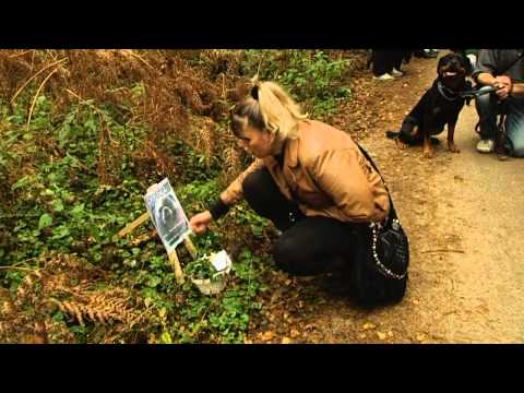 Video: Groottegerelateerde Levensduur Bij Honden - Waarom Grote Honden Jong Sterven Die
