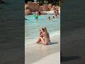 🌞Fun Summer Holiday in Magnificent Aqupark and Water Slides🐬#waterpark #aquapark