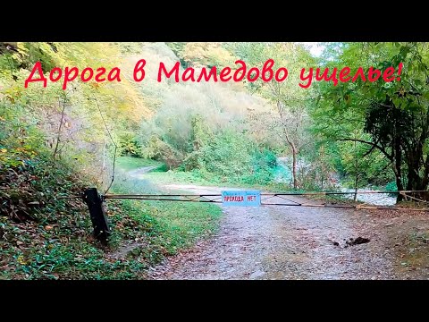 ЛАЗАРЕВСКОЕ СЕГОДНЯ 🌴СОЧИ.