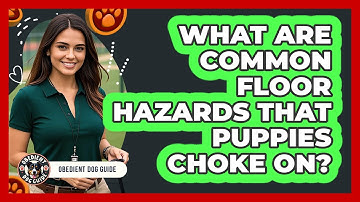 What Are Common Floor Hazards That Puppies Choke On?