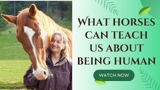 What Horses Can Teach Us about Being Human - Interview with Stormy May