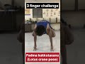 Padma Kukkutasana |padmabakasana | challenge 😱#shorts #yoga #yogachallenge #lotus #youtubeshorts