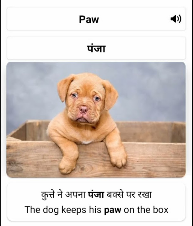 paw-meaning-in-hindi-word-meaning-pronunciation-sentence-making