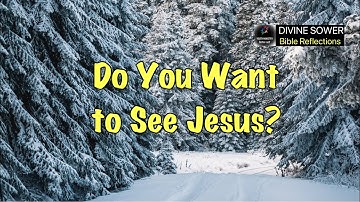 PREPARE THE WAY | Homily Reflections for the Second Sunday of Advent