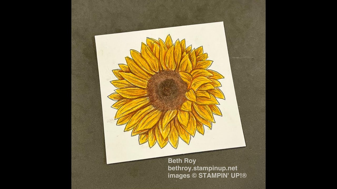 Coloring how-to with watercolor pencils and sunflower stamped image ...