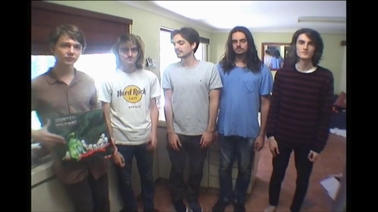 Aborted Tortoise- TV Set