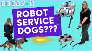 Are ROBOTS Replacing GUIDE DOGS? 😱 #cyberdog