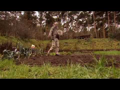 Video: Meststofsysteem Als Basiselement Van Landbouw In De Voorsteden