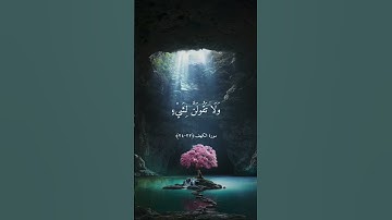 ماهر المعيقلي تلاوة خاشعة سورة الكهف حالات واتس اب قرآن كريم