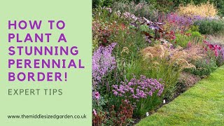 Create an outstanding perennial border  how to choose and combine plants