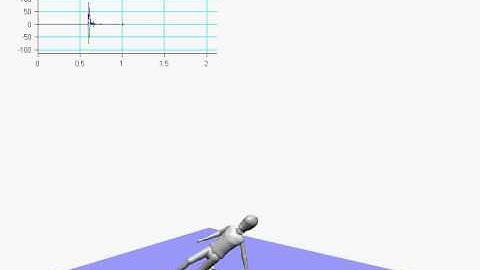 Free Fall Simulation