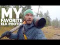 Making My Favorite Elk Photo of the Year - Photography Vlog - Fall in the Tetons