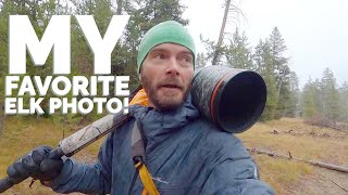 Making My Favorite Elk Photo of the Year - Photography Vlog - Fall in the Tetons
