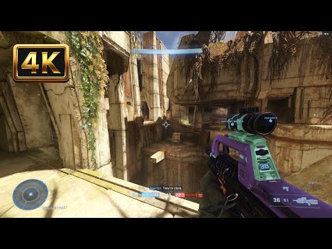 Halo Infinite Multiplayer