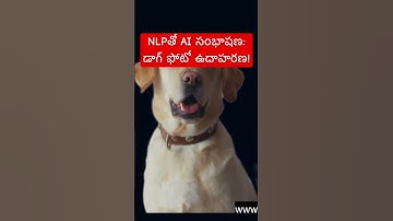 5 Critical NLP Mistakes You Might Be Making In AI Conversations