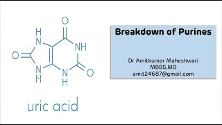 Purine Catabolism || Uric Acid Synthesis || Biochemistry || Molecular Biology || NEET PG