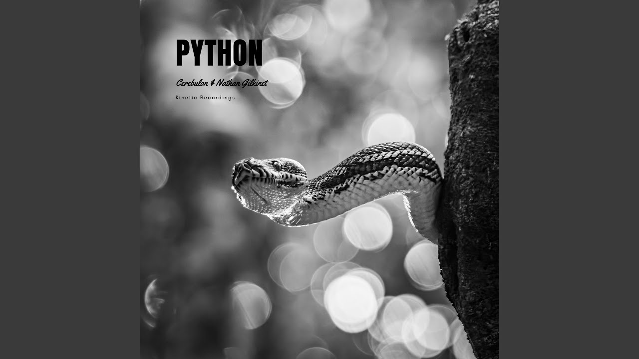 Watch Python (Original Mix) on YouTube Watch Python (Original Mix) on YouTube