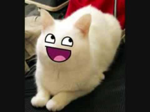 hee hee hee song looped youtube