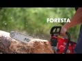 Бензопилы Foresta - хороший выбор недорогой бензопилы.