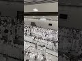 شمر سناعيس طنايا شمر سناعيس طنايا