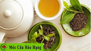 [MỞ HỘP] Chè (Trà) Móc Câu Hảo Hạng Thái Nguyên - Lộc Tân Cương