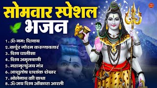 Download Lagu सोमवार भक्ति भजन   ॐ नमः शिवाय, शिव अमृतवाणी, महामृत्युंजय मंत्र, शिव चालीसा, ॐ जय शिव ओंकारा MP3