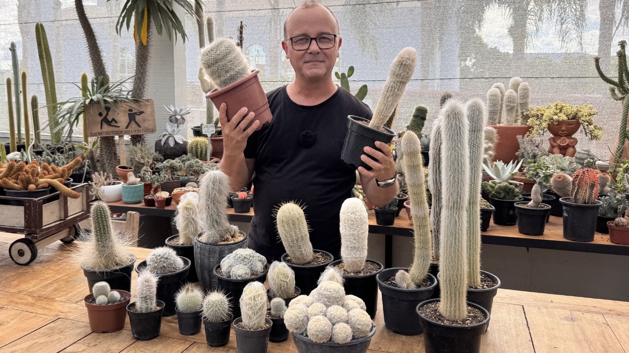 Imagens do passeio e a beleza dos cactos brancos na estufa