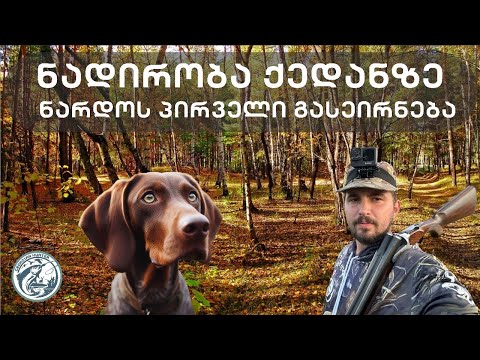 ნადირობა ქედანზე და ნარდოს პირველი გასეირნება