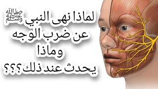 رسول الله ينهى عن ضرب الوجه والطب الحديث يفسر لنا لماذا النهى